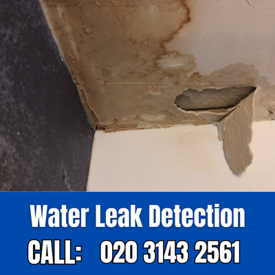 Expert Water Leak Detection Services in Chiswick | Chiswick Leak Detection